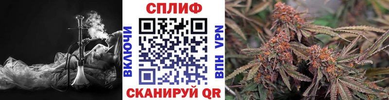 что такое наркотик  Светлогорск  Конопля SATIVA & INDICA 